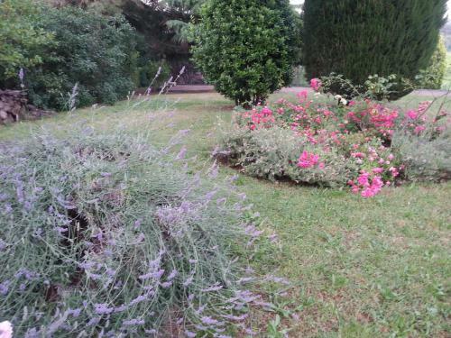 Basisa Bed&breakfast