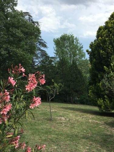 Basisa Bed&breakfast