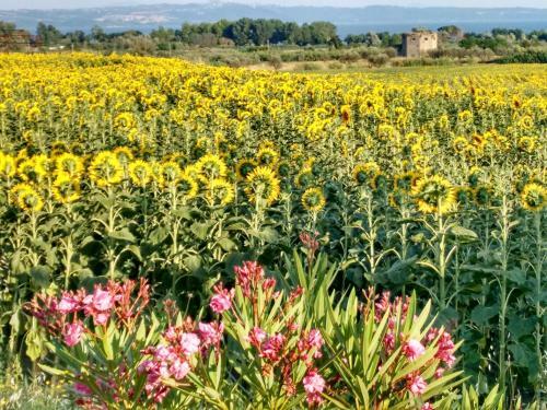 Apartamento Agriturismo La Villetta