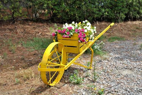 Apartamento Agriturismo La Villetta