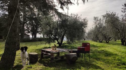 Apartamento Agriturismo La Villetta