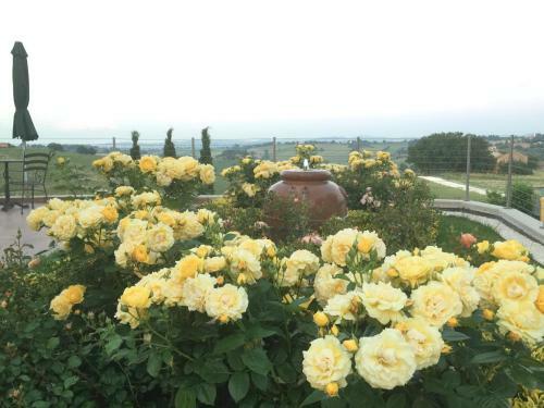 Apartamento Girasole