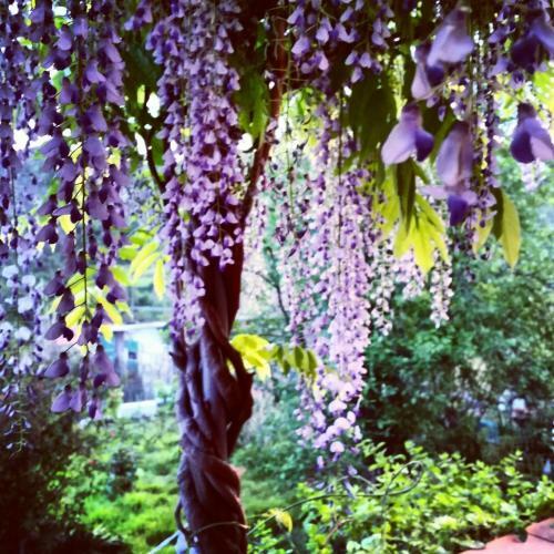 Bed & Breakfast Pin De St�lle