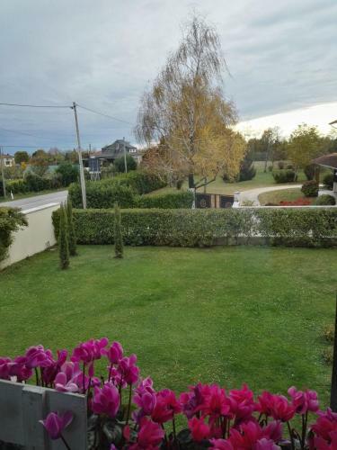 Apartamento Casa Zanier Cigolotti