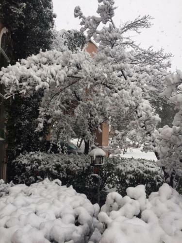 Forest Villas Hotel