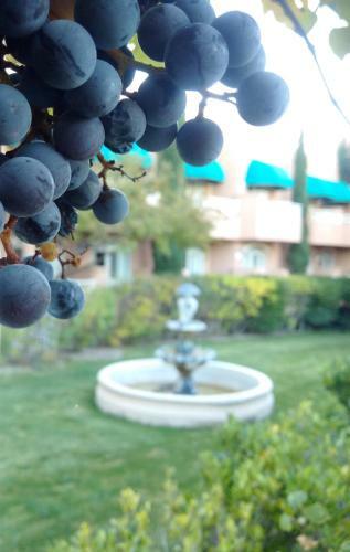 Forest Villas Hotel