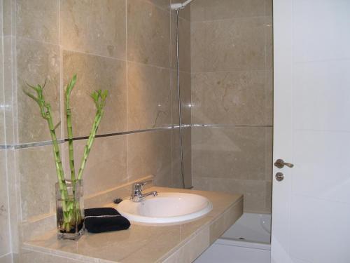 Apartamentos Do�a Carmen