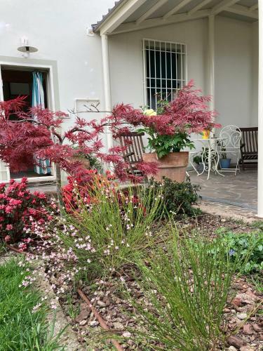 La Casona B&B