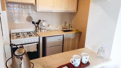 Apartamento Departamento C�ntrico Con Vista Al Lago