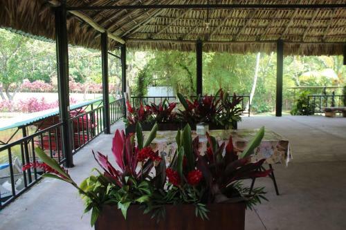 Hotel Villa Amanda Resort