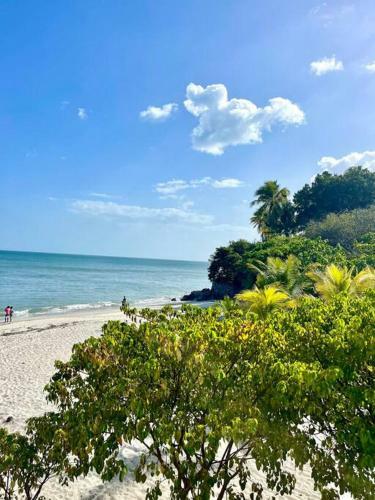 Apartamento Un Lugar Perfecto Para Disfrutar de La Playa.