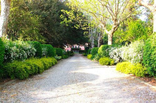 Art Apartment Villa Mannelli