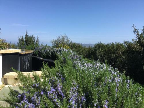 Bed & Breakfast Le Tre Civette - Residenza Di Campagna