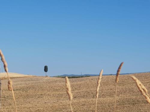 Apartamento Dimora In Val D'orcia