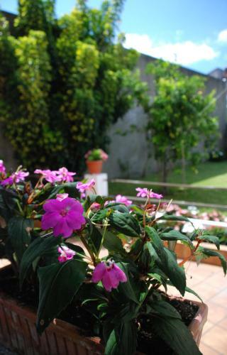 Hostal As Vi�as