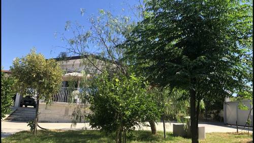 Cascinale