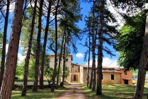 Villa Borgo Ai Pini
