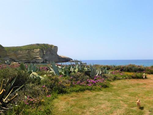 Apartamento Manderley-case Sul Mare