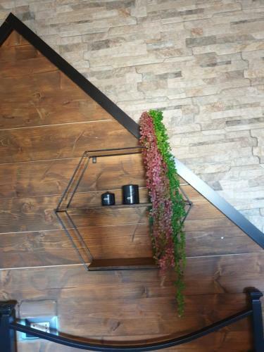 Hostal Stanza Del Viggiatore