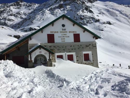 Alpine Chalet