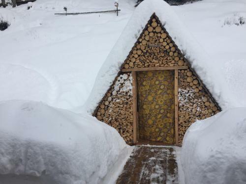 Alpine Chalet