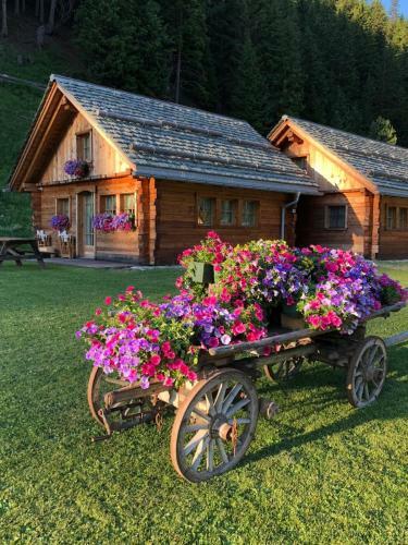 Alpine Chalet