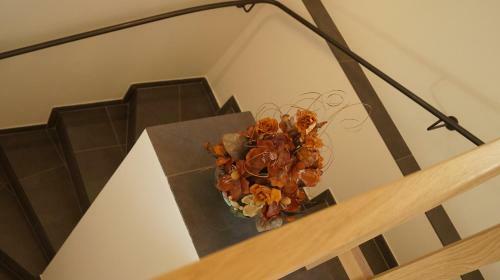 Apartments Salieta