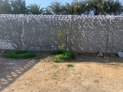 Apartamento Sinbad House