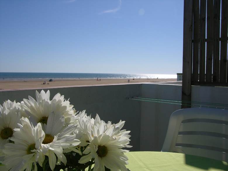 Apartamentos Calypso