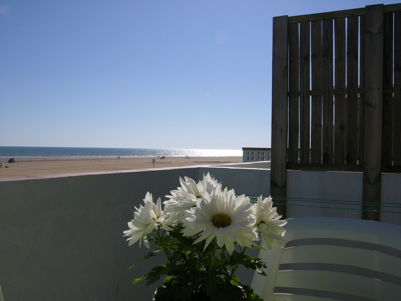 Apartamentos Calypso
