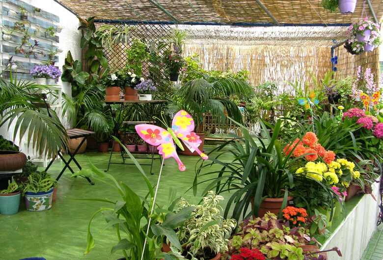 Apartamentos Calypso