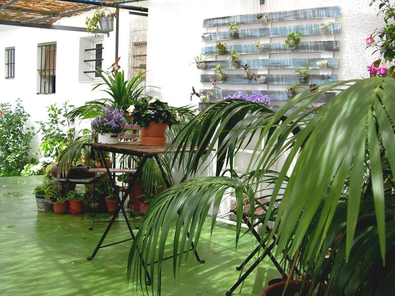Apartamentos Calypso