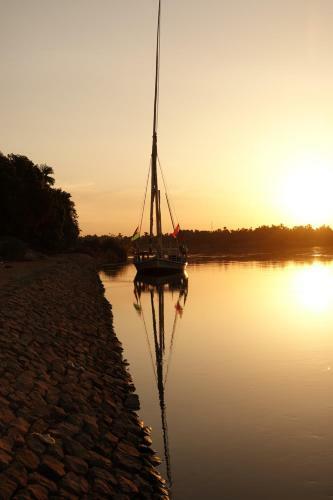 Jj Jamaica Felucca