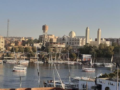 Nubia Castle