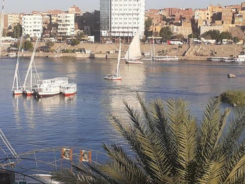 Nubia Castle