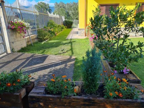 Hostal Alla Damigiana
