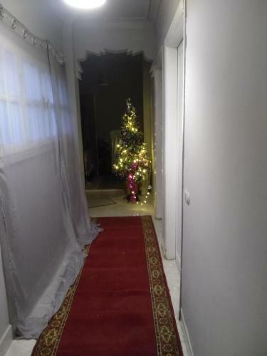 Albergue Rush Duplex