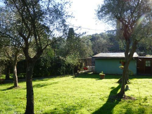 Lo Chalet Tra Gli Ulivi