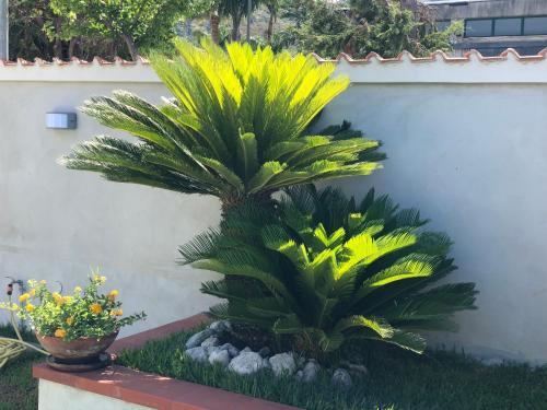 Invilla Bed&breakfast