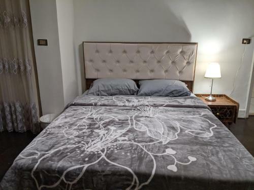 Nasr City Villa