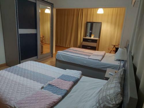 Nasr City Villa