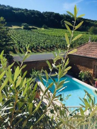 Bed & Breakfast La Petite Madeleine - Chambre D'h�tes & Spa