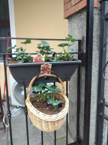 Casavacanzesanremo