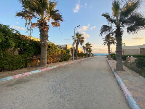 Apartamento Comfort, Quite & Relaxing Vacation Rental