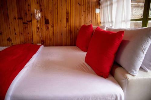 Attic Wooden Apartment