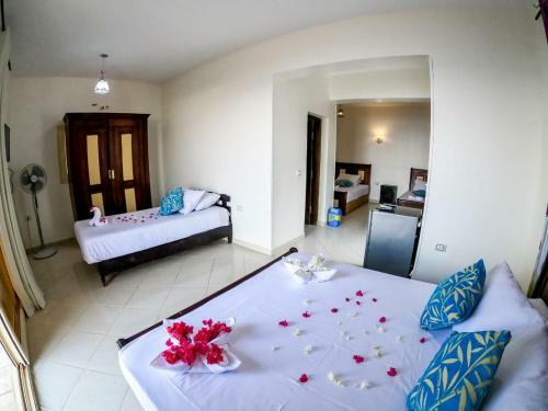 New Dahab Bay Hotel