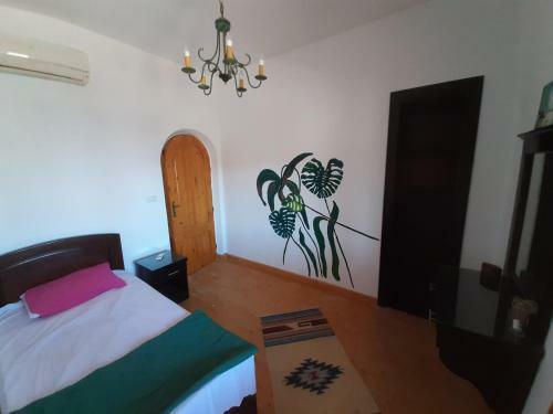 Hostal Manta House