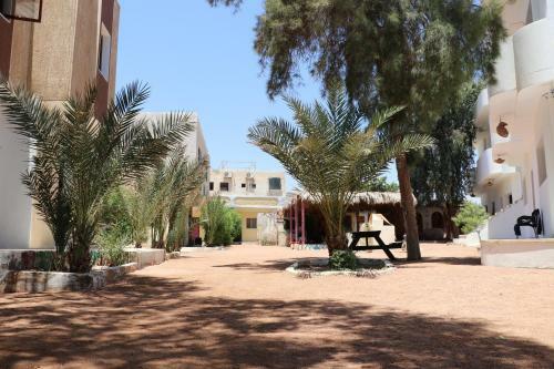 Hotel Oasis Fighting Kangaroo