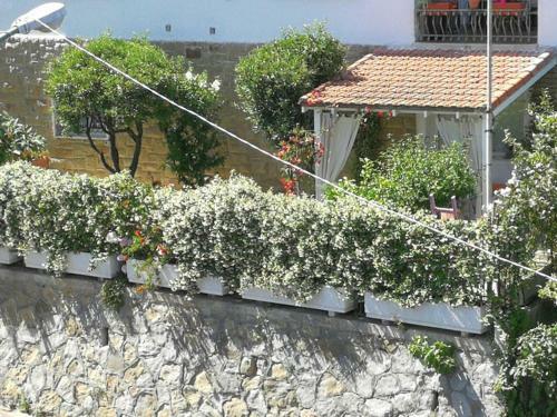 Apartamento Comodo Con Giardino E Patio