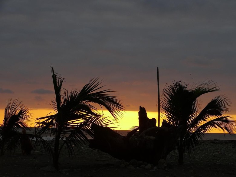 Bed & Breakfast Wipeout Caba�a Restaurant